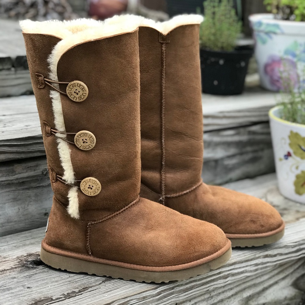 Bailey Button Triplet Chestnut 10 Tall
